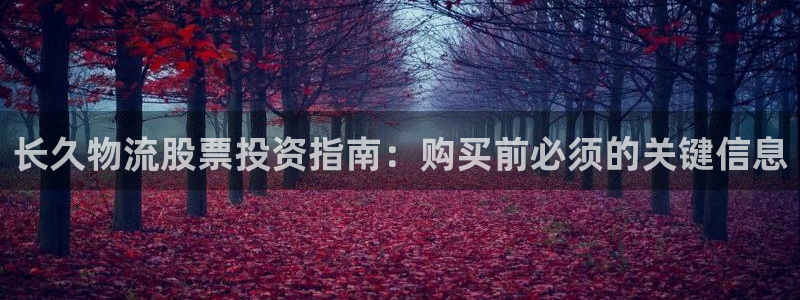 28圈黑款：长久物流股票投资指南：购