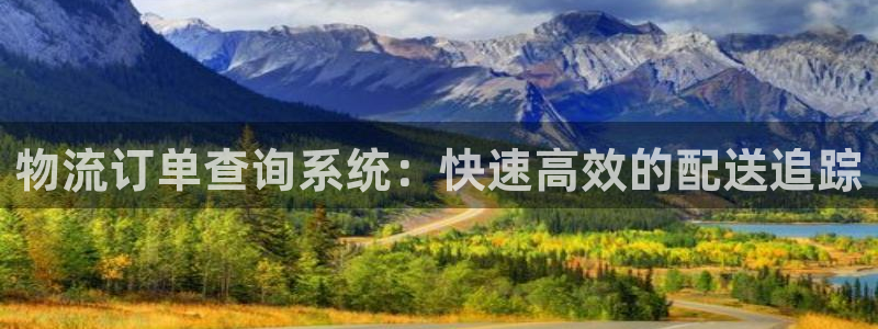 加拿大28圈是什么：物流订单查询系统