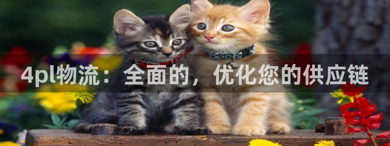 28圈怎么注册游戏名字