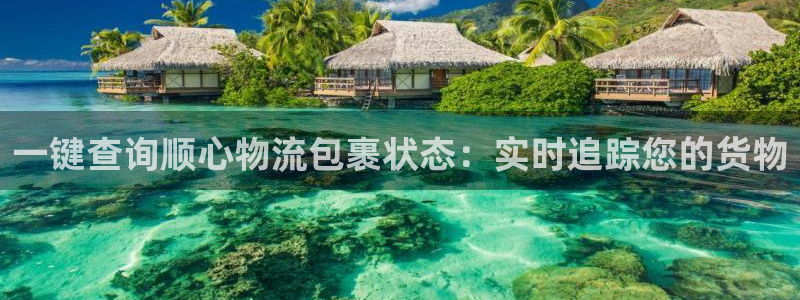 28圈游戏官网入口：一键查询顺心物流