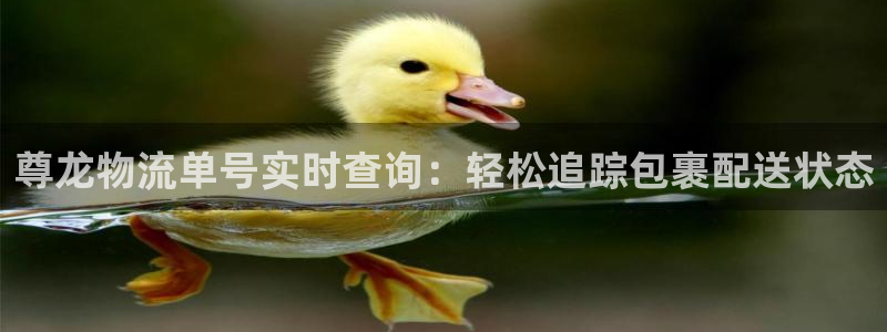 28圈大舞台：尊龙物流单号实时查询：