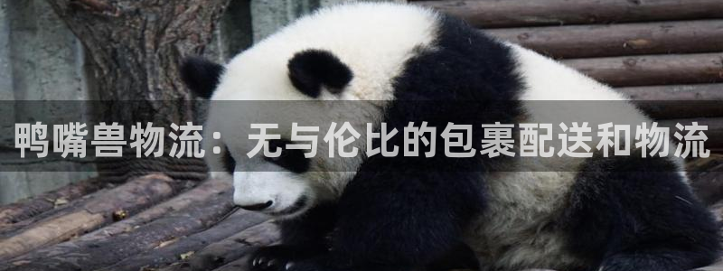 28圈注册送：鸭嘴兽物流：无与伦比的