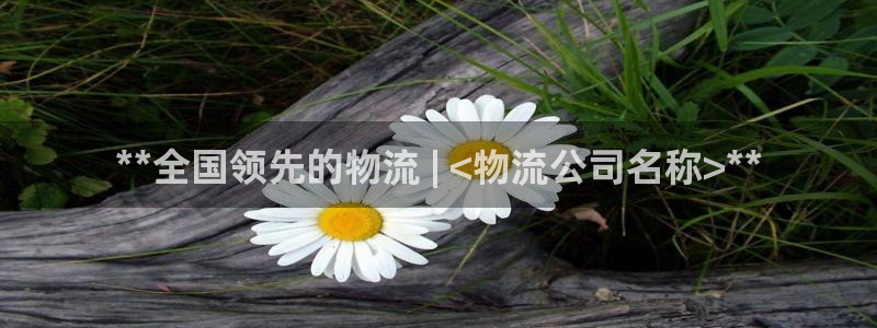 28圈官网开奖结果预测查询