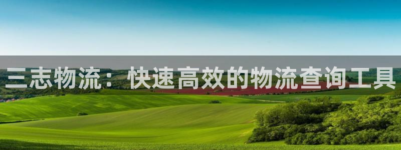 28圈注册号：三志物流：快速高效的物