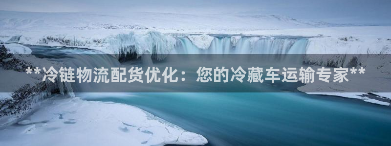 28圈技巧：**冷链物流配货优化：您