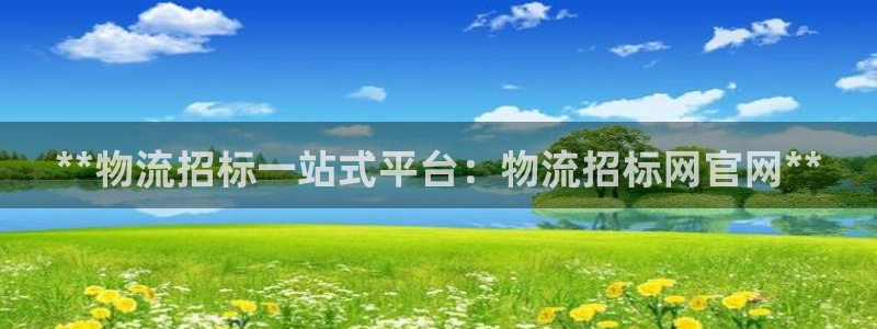 28圈模拟器下载