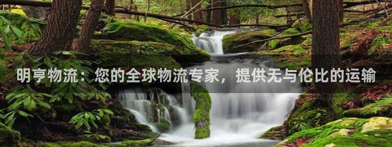南宫28圈怎么注册：明亨物流：您的全