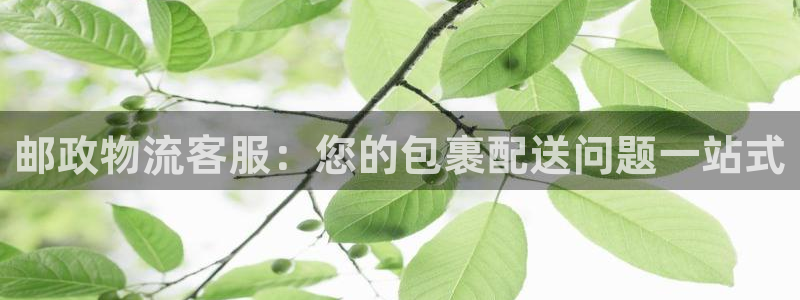 28圈吧：邮政物流客服：您的包裹配送