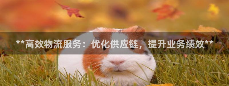 28圈正规吗：**高效物流服务：优化