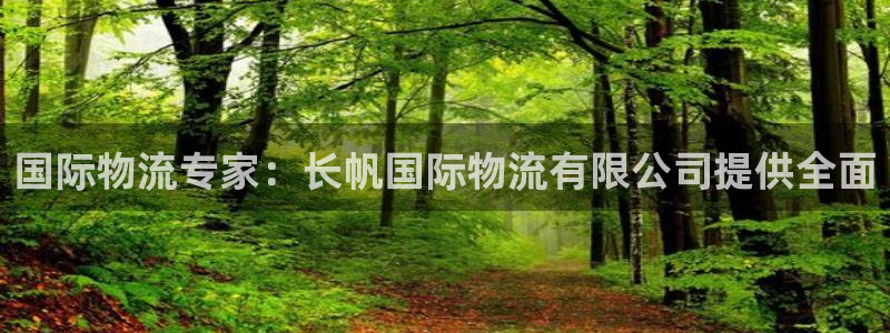 28圈注册网站多少钱：国际物流专家：
