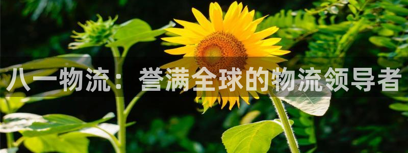 28圈初始密码在哪里修改的：八一物流