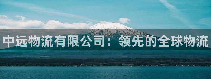 28圈软件有什么用：中远物流有限公司