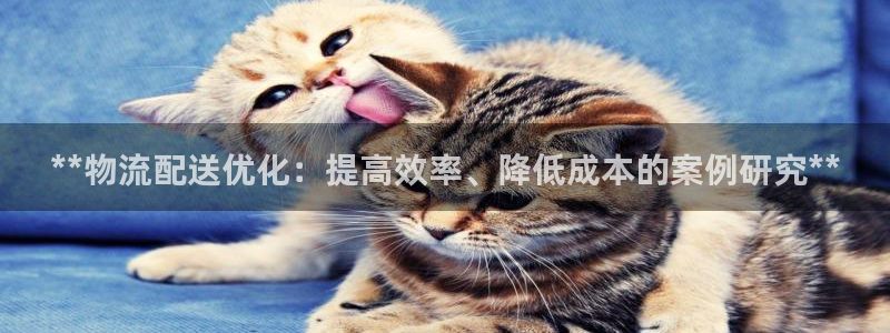 28圈软件是什么