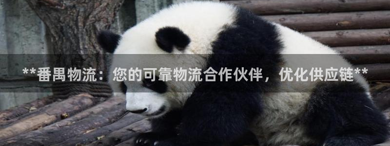 28圈注册问一问：**番禺物流：您的