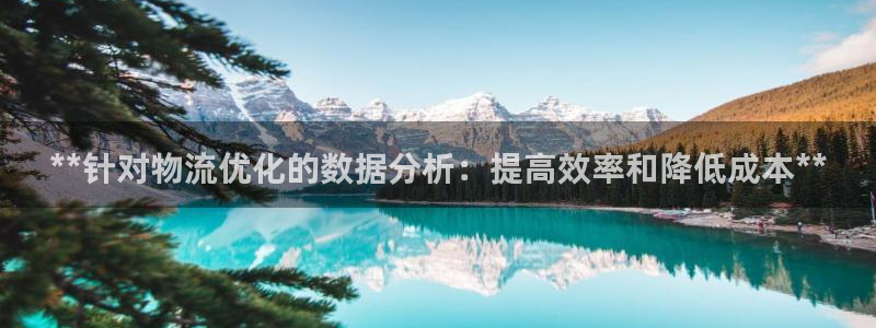 28圈注册链接：**针对物流优化的数