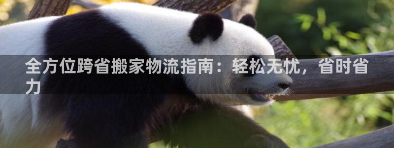 28圈加拿大下载