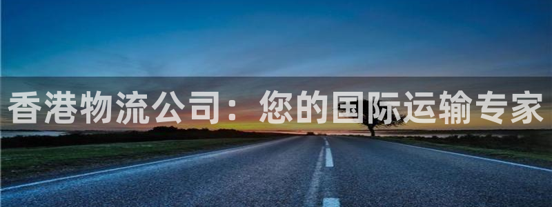 28圈注册：香港物流公司：您的国际运