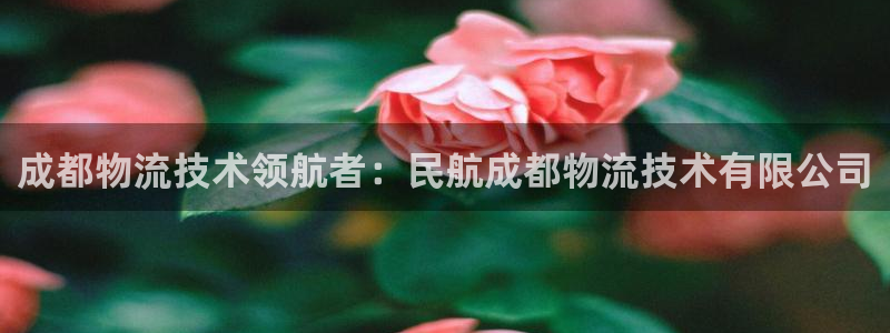 28圈充值不处理会怎么样：成都物流技