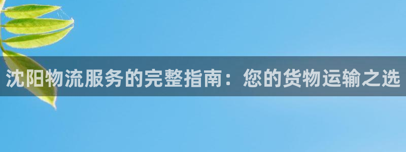28圈p扣款什么意思：沈阳物流服务的
