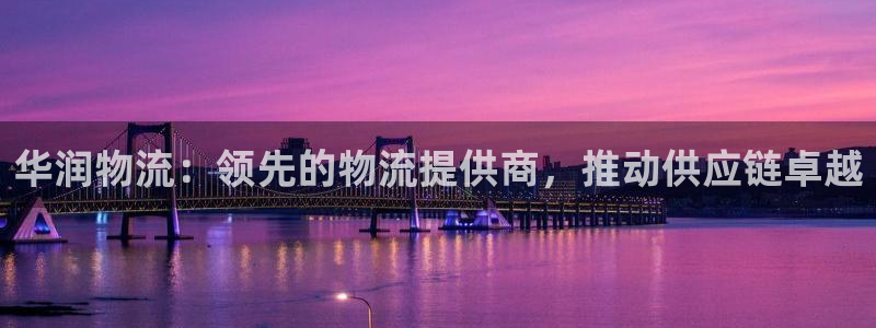 28圈加拿大怎么玩：华润物流：领先的