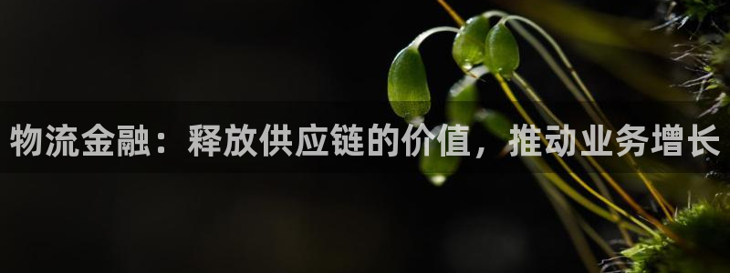 28圈.ccmo