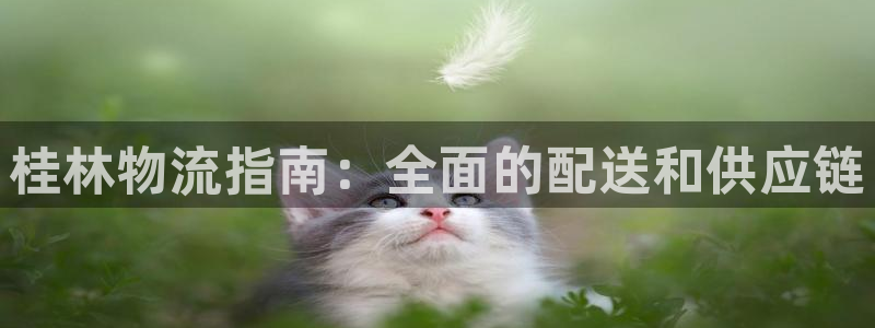 28圈能提现吗：桂林物流指南：全面的配送和供应链