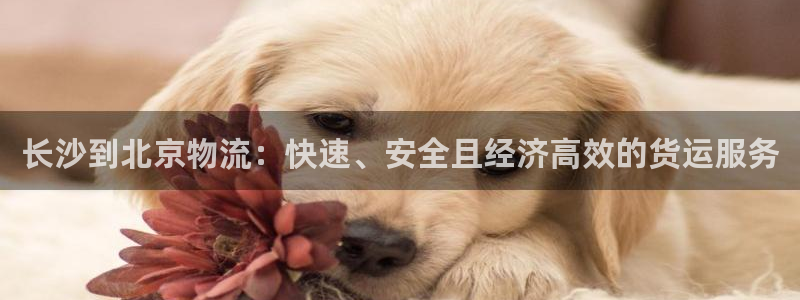 28圈pg麻将胡了