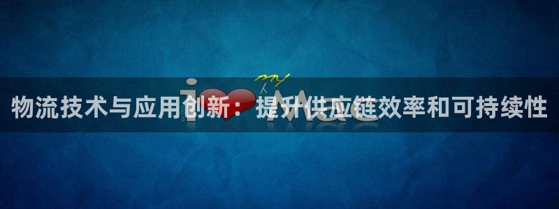 加拿大28圈是什么：物流技术与应用创