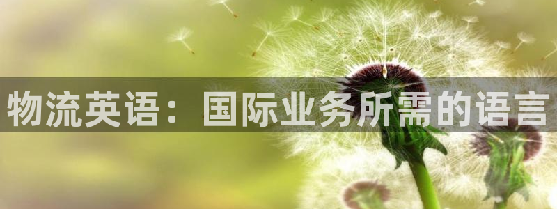28圈初始密码在哪里修改的：物流英语