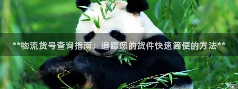 28圈怎么注册游戏名字：**物流货号