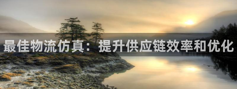28圈官方网站：最佳物流仿真：提升供