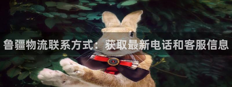 28圈充值：鲁疆物流联系方式：获取最新电话和客服信息
