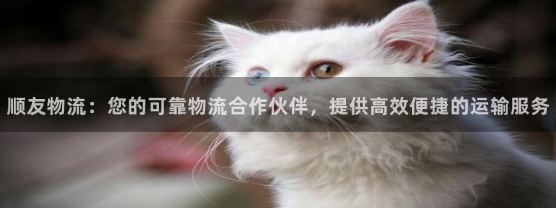 28圈官网多少：顺友物流：您的可靠物