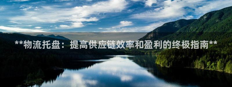 28圈登录用户名登录不上：**物流托