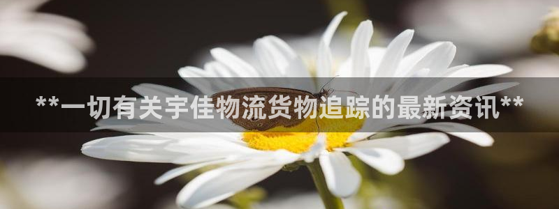 28圈黑钱