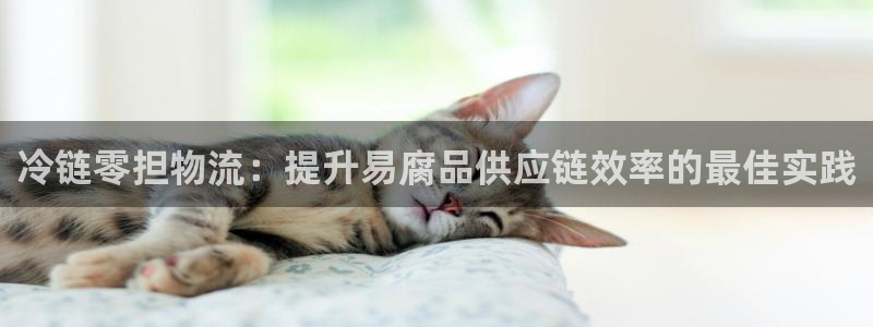 28圈官网版2024：冷链零担物流：