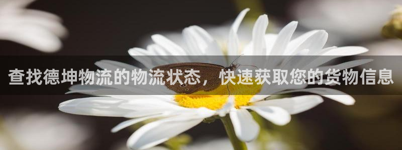 28圈v6能卖多少：查找德坤物流的物