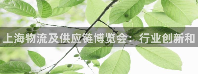 28圈模拟器下载：上海物流及供应链博