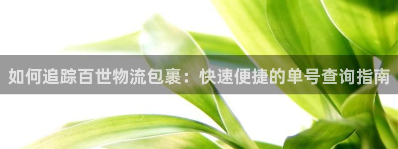 28圈游戏官网版：如何追踪百世物流包