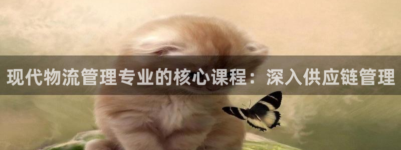 28圈和南宫28什么关系：现代物流管