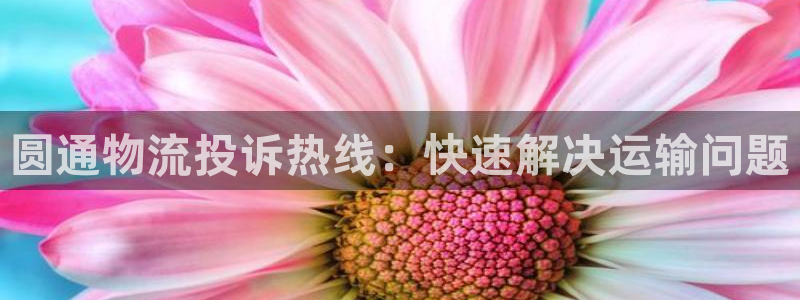 28圈是什么软件：圆通物流投诉热线：