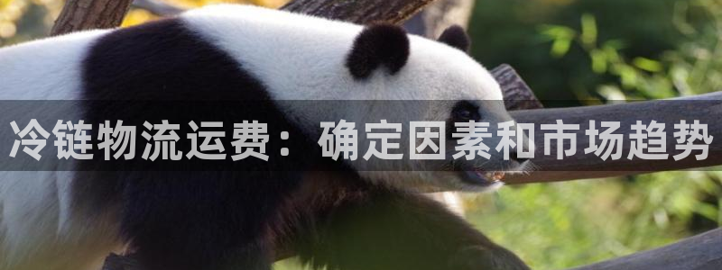 28圈注册限制怎么解除：冷链物流运费