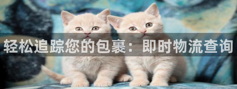 28圈分分28输了能不能退：轻松追踪