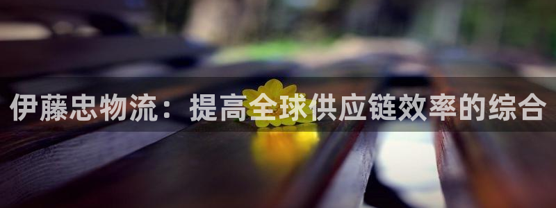 28圈模拟：伊藤忠物流：提高全球供应