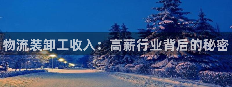 28圈加拿大2.8预测在线预测：物流