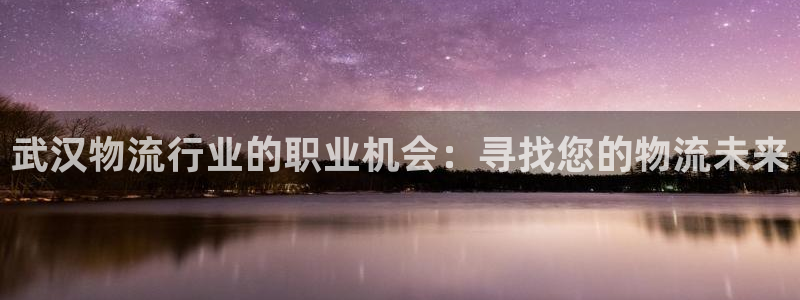 28圈.ccmpc预测：武汉物流行业