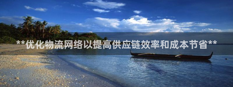 28圈账号注册：**优化物流网络以提