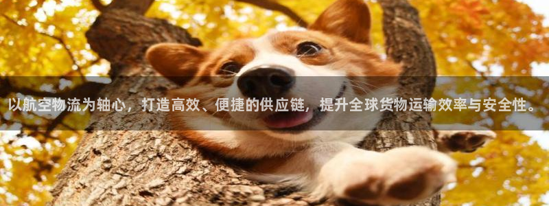 28圈的平台：以航空物流为轴心，打造