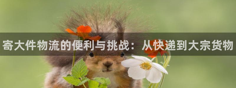 28圈自行车图片：寄大件物流的便利与