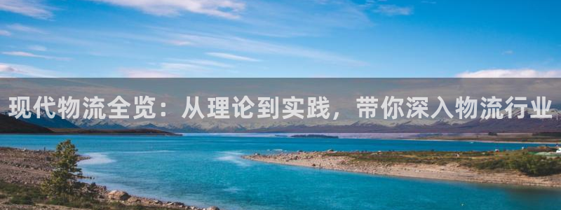 28圈：现代物流全览：从理论到实践，
